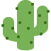 Cactus ?