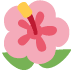 Hibiscus 🌺