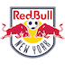 MLS_2021_NYRB.png