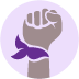 Hashflag for campaign: StopViolenceAgainstWomen_2020_add